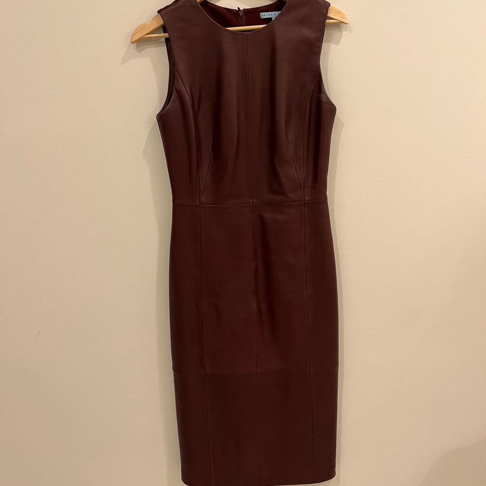 Leather burgundy/wine Antonio Melani dress